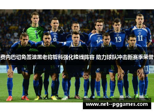 费内巴切免签波黑老将哲科强化锋线阵容 助力球队冲击新赛季荣誉