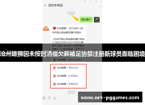 沧州雄狮因未按时清偿欠薪被足协禁注册新球员面临困境 沧州雄狮因未按时清偿欠薪被足协禁注册新球员面临困境